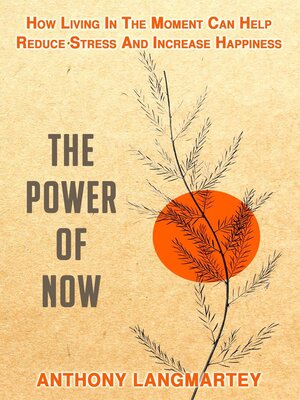 cover image of The Power of Now
